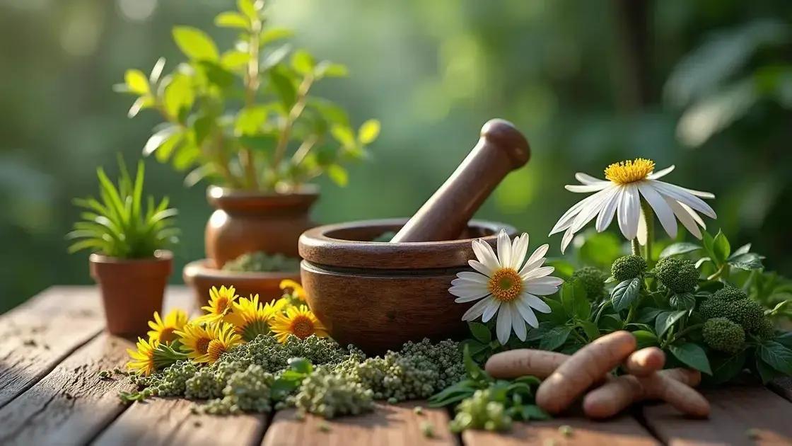 1. Fitoterapia: A Sabedoria Ancestral no Combate à Insônia