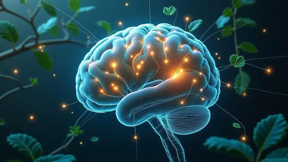  3. Como as Ervas Afetam Seu Corpo e Promovem um Sono Melhor
